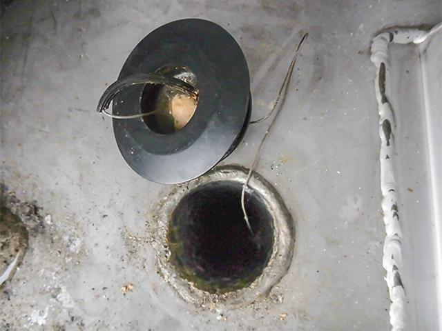 image12