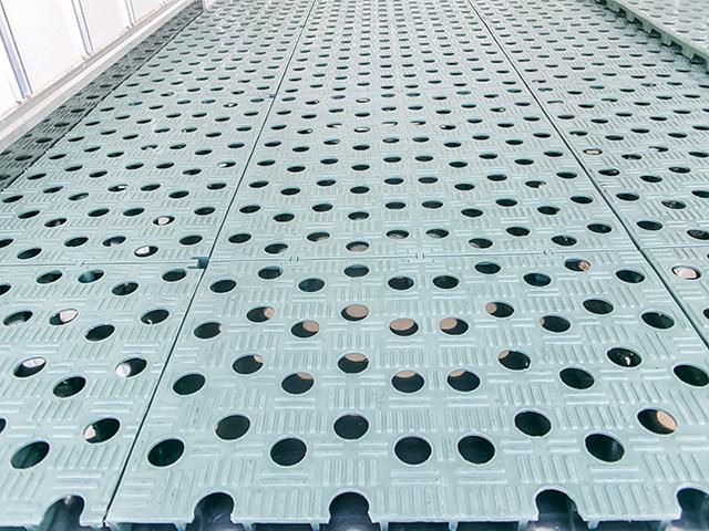 image10