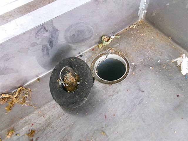 image11